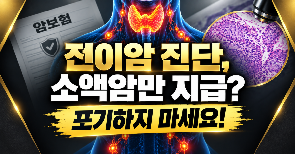 전이암 진단비 올바르게 받는방법 알려주세요 원발암 분류 특약의 법적 허점 분석.png